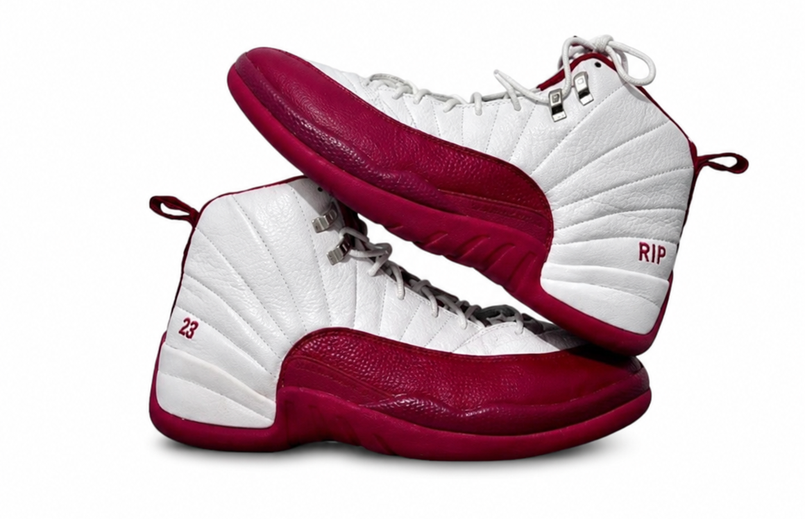 Jordan 12 Retro Rip Hamilton PE